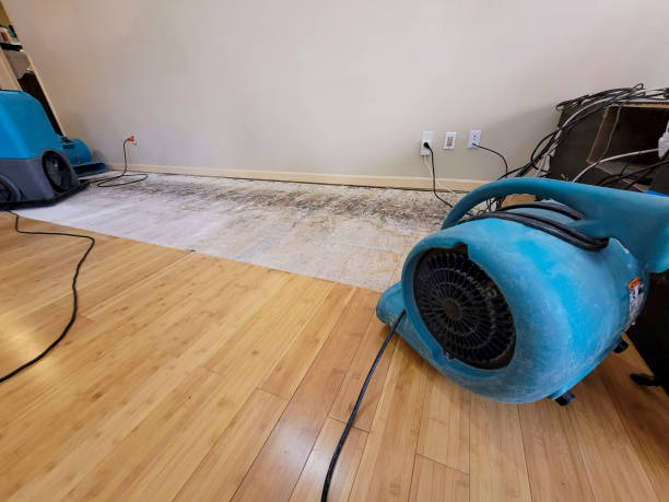 Professional Water Removal technician working in Placerville, CA